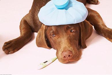 潜行动作《伪信号(Fake Signals)》发售日公布，中文DEMO现可免费下载